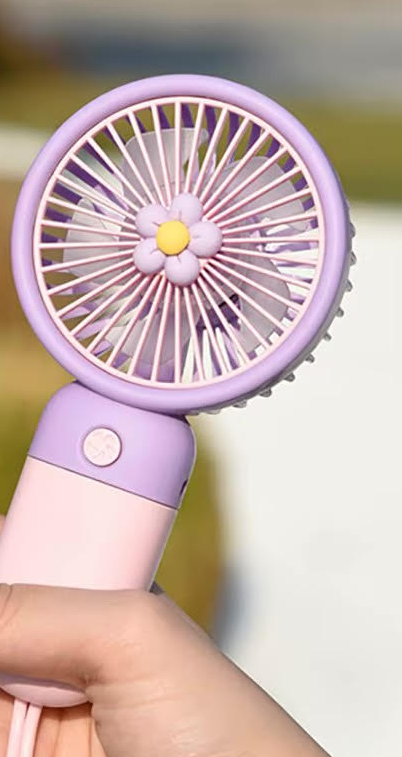 Hand-held Summer Fan